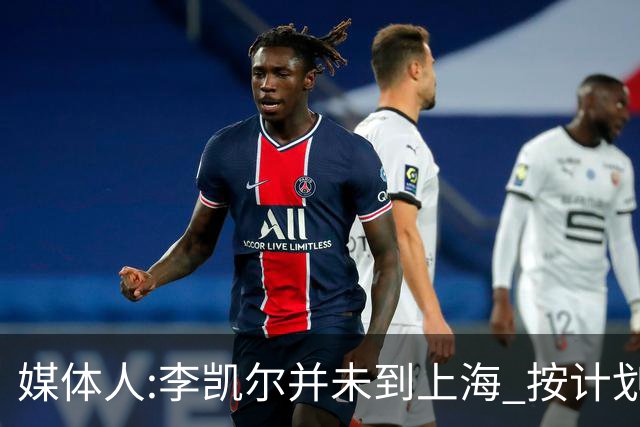 媒体人:李凯尔并未到上海 按计划能赶上世界杯