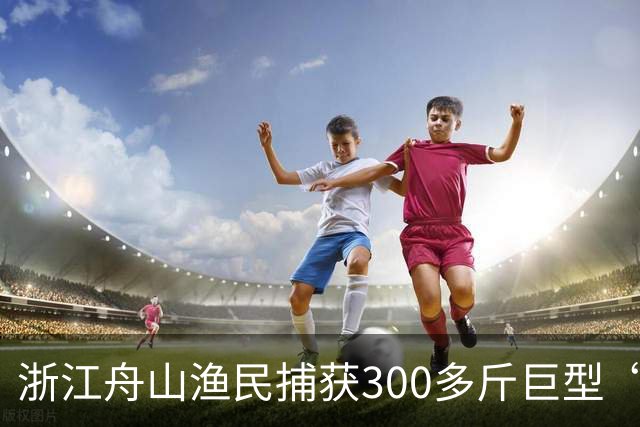 浙江舟山渔民捕获300多斤巨型“怪鱼”，已放归大海，经辨认系翻车鱼，是已知世界上生殖力最强的脊椎动物；网友：以为是一块大石头