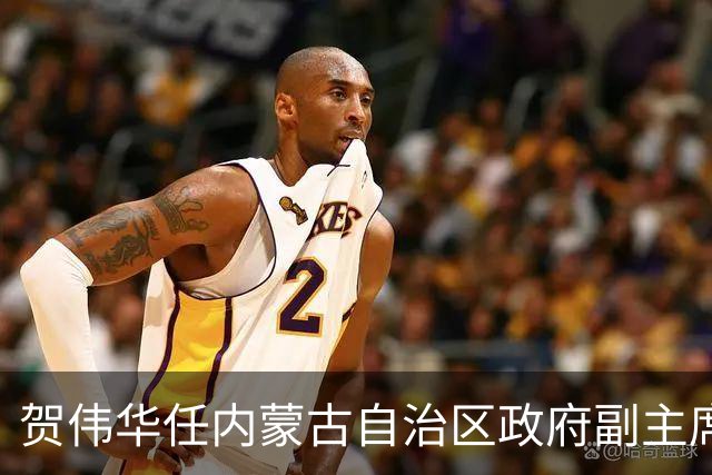 贺伟华任内蒙古自治区政府副主席
